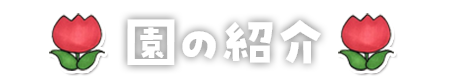̏Љ
