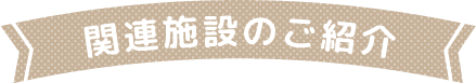 ֘A{݂̂Љ